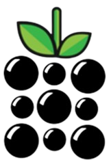 Classberry